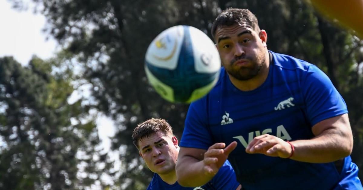 Los Pumas le apunta a los Springboks