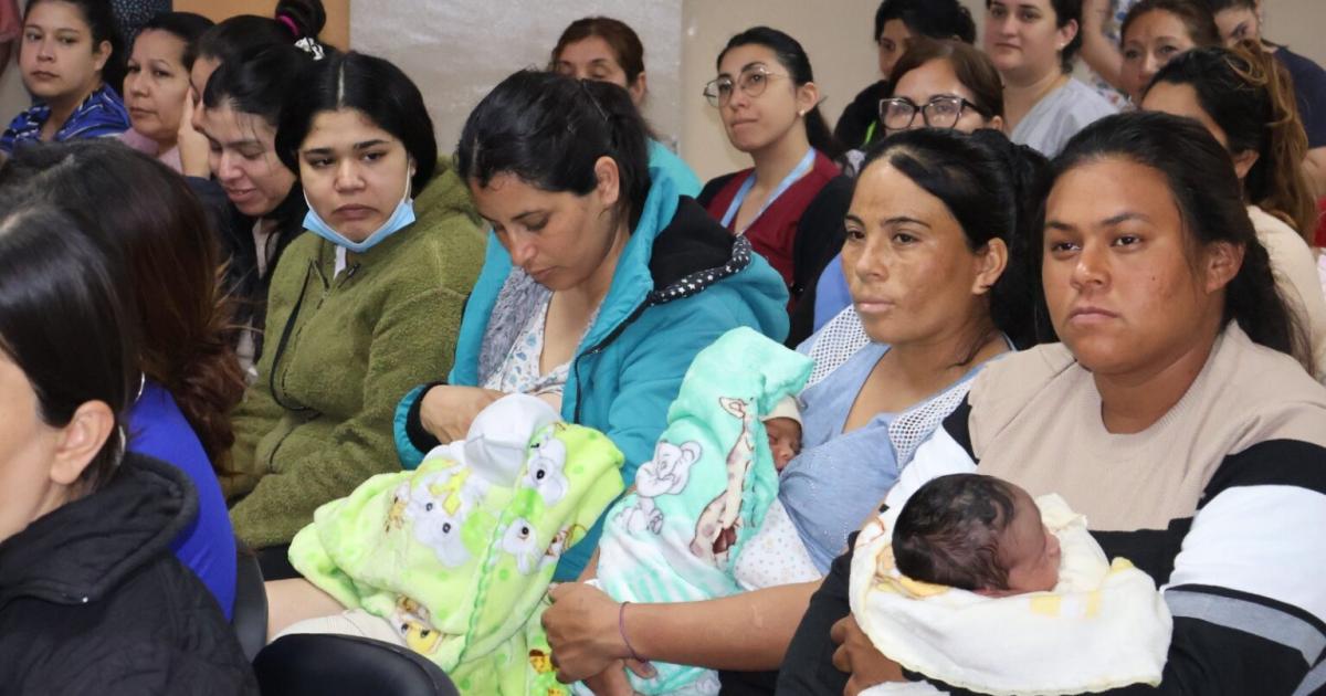 La lactancia es el primer acto de amor pero tambieacuten es una verdadera inversioacuten en salud