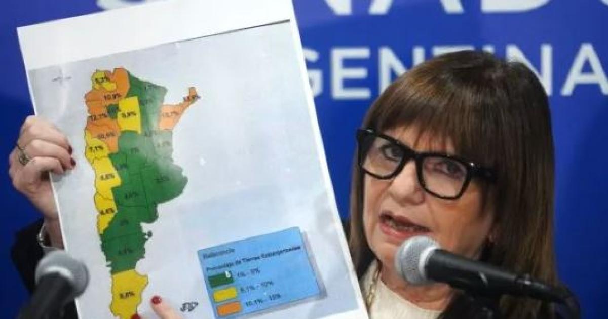 Bullrich cuestionoacute a Villarruel por habilitar un posible voto remoto de Fernaacutendez Sagasti- Es un mamarracho juriacutedico