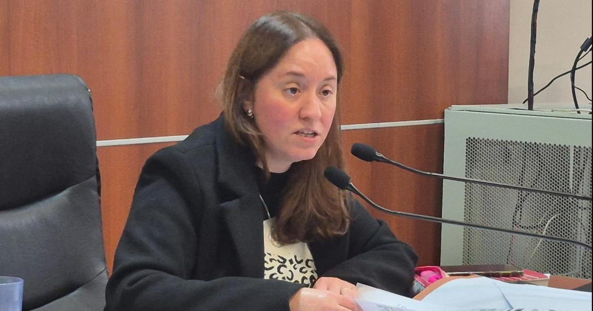 La Justicia rechazoacute el pedido de detencioacuten del exgerente de Furth Automotores