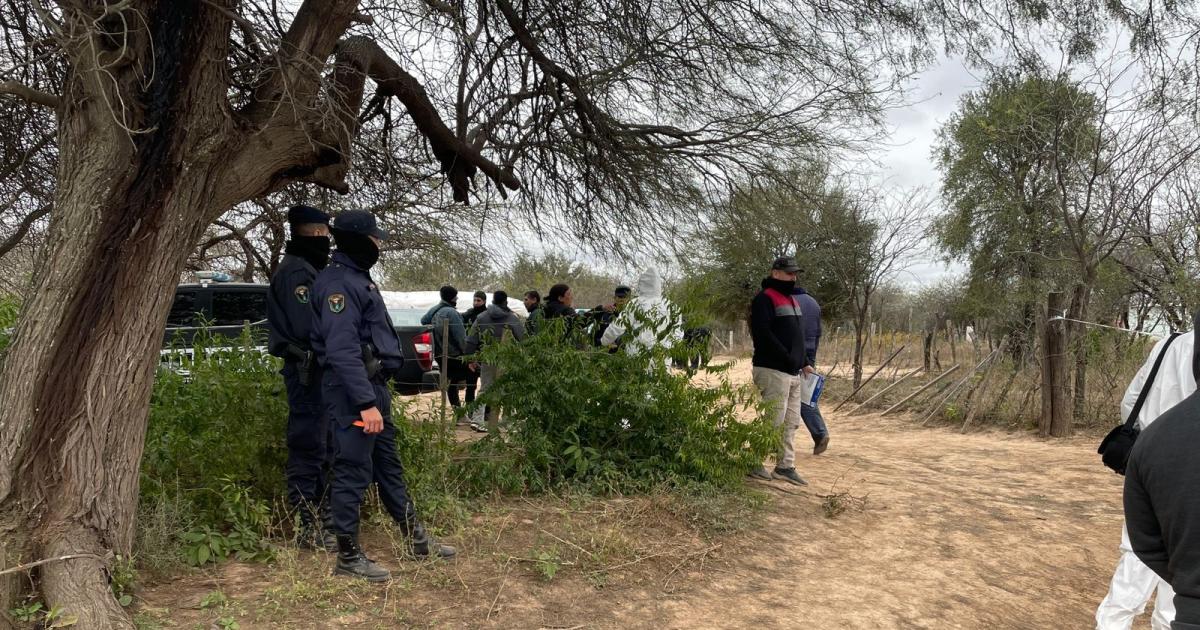 Prisioacuten preventiva para individuo por asesinar a tiros a cuntildeada en ruta 6