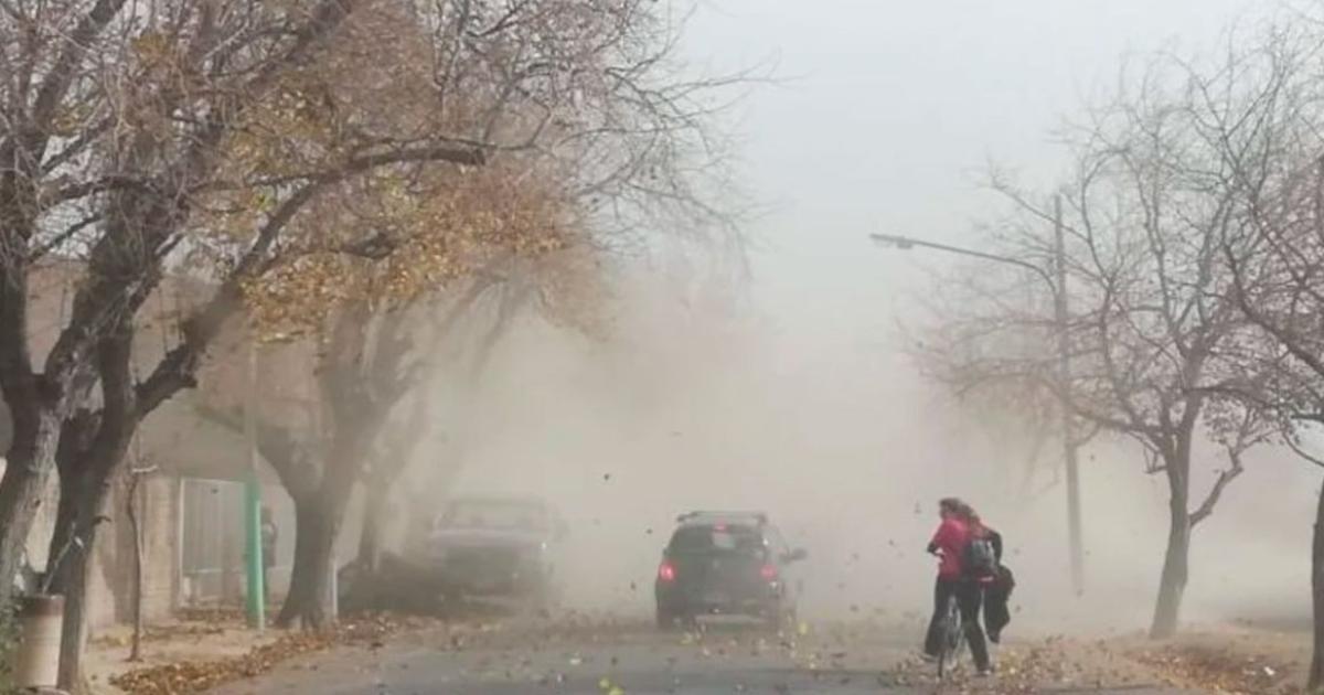 Alerta amarilla por fuertes vientos- recomiendan no ingresar al Parque Aguirre y extremar los cuidados en toda la ciudad
