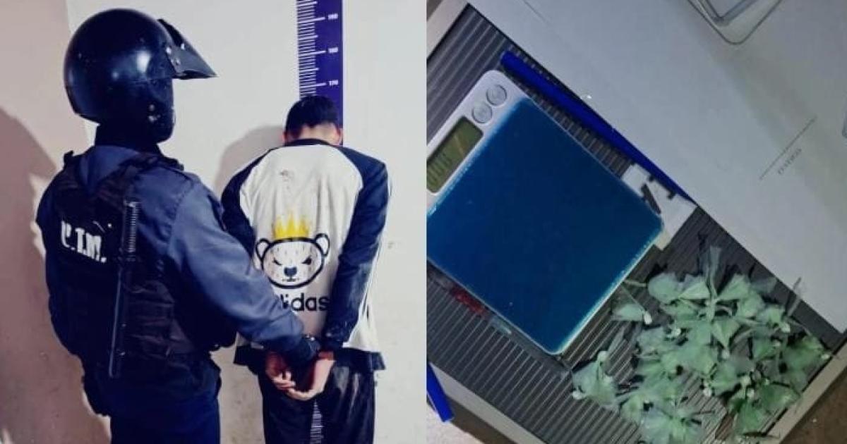 Interceptan a dealer cuando repartiacutea cocaiacutena con dos amigos