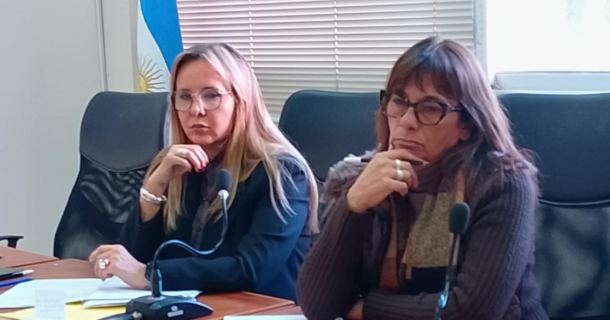 Domiciliaria para bandentildea embarazada en una causa por drogas extensiva a su madre