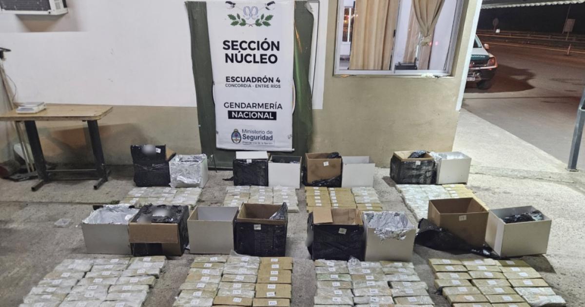 Gendarmeriacutea secuestroacute maacutes de 200 kilos de marihuana enviados por encomienda a cinco ciudades del paiacutes