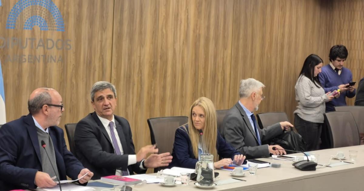 Con consenso absoluto Diputados dictaminoacute la Ley Joaquiacuten para praacutecticas deportivas- queacute significa y para queacute sirve