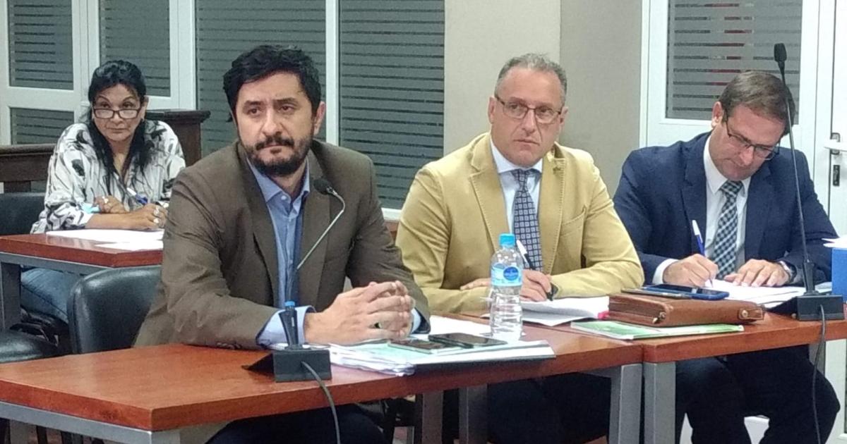 Pana y Panita sentildealaron que la droga en Friacuteas era medicinal
