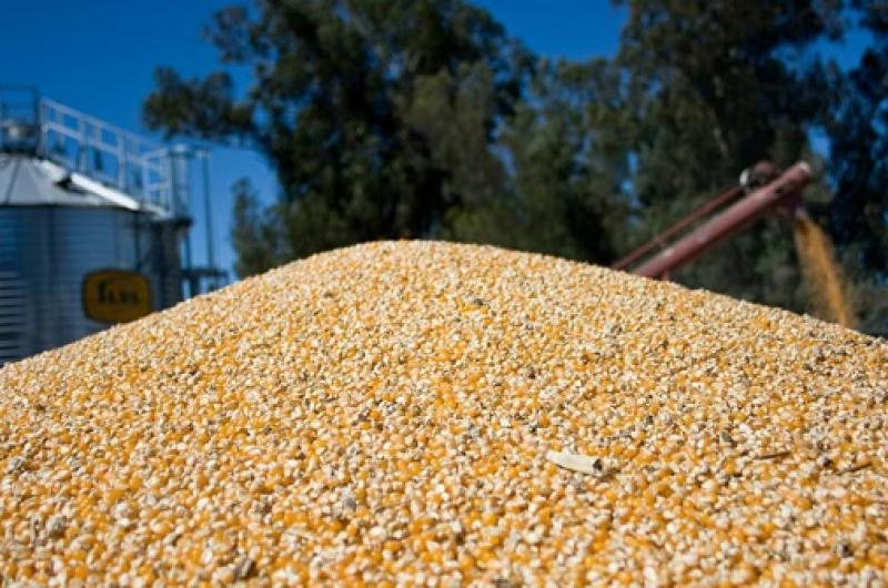 El campo aportaraacute retenciones por maacutes de US4600 M