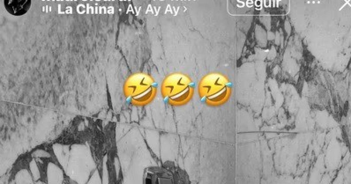 Icardi cruzoacute a Vicuntildea tras sus dichos en PH- Cuando te haceacutes la viacutectima