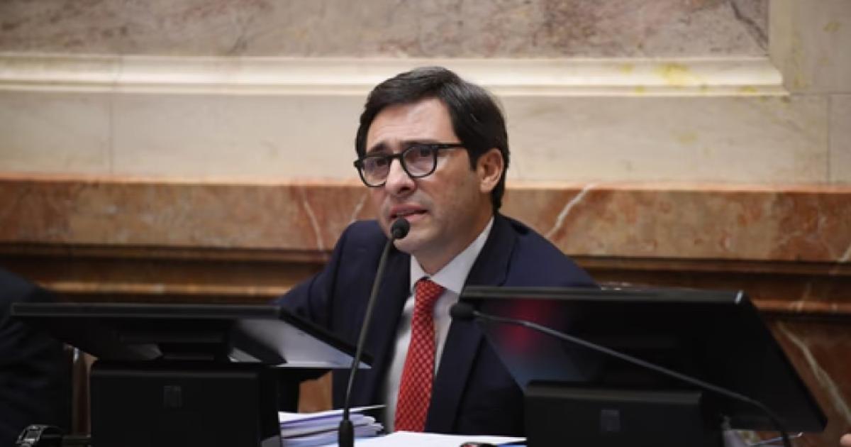 Un senador del PRO cuestionoacute la eliminacioacuten de las PASO