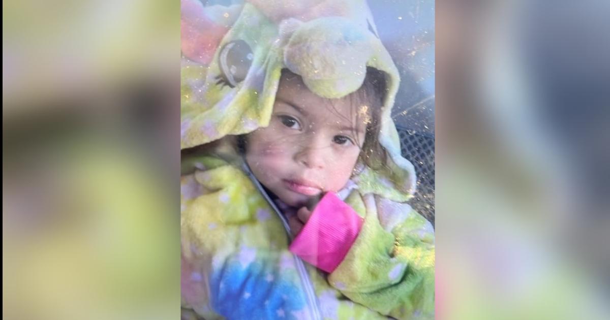 Activaron el Alerta Sofiacutea por una nena de 3 antildeos desaparecida en San Luis