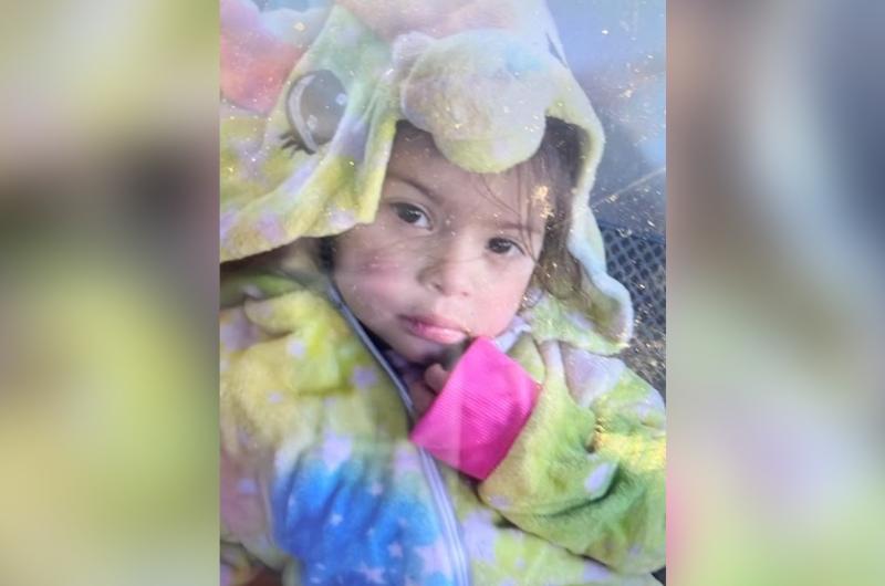 Activaron el Alerta Sofiacutea por una nena de 3 antildeos desaparecida en San Luis