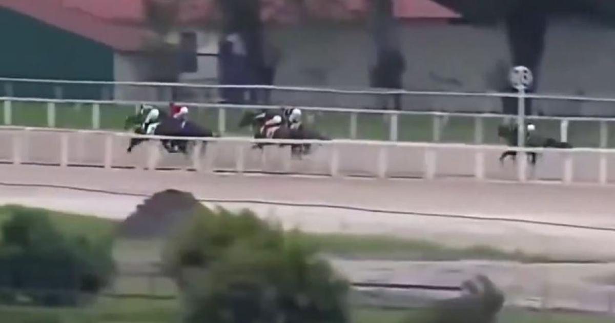 VIDEO Tragedia en el turf sudamericano- murioacute el jockey Leandro Henrique tras caerse de su caballo en plena carrera