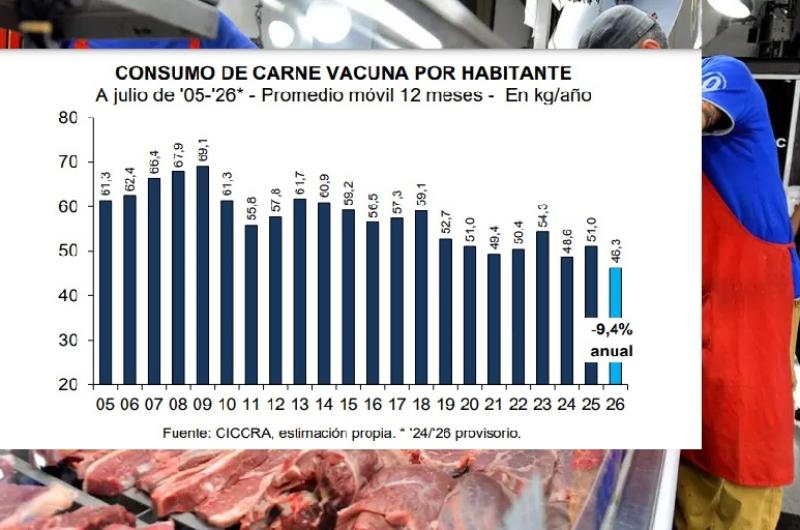El consumo de carne vacuna se hundioacute 12-en-porciento- en julio y perforoacute miacutenimos en maacutes de dos deacutecadas