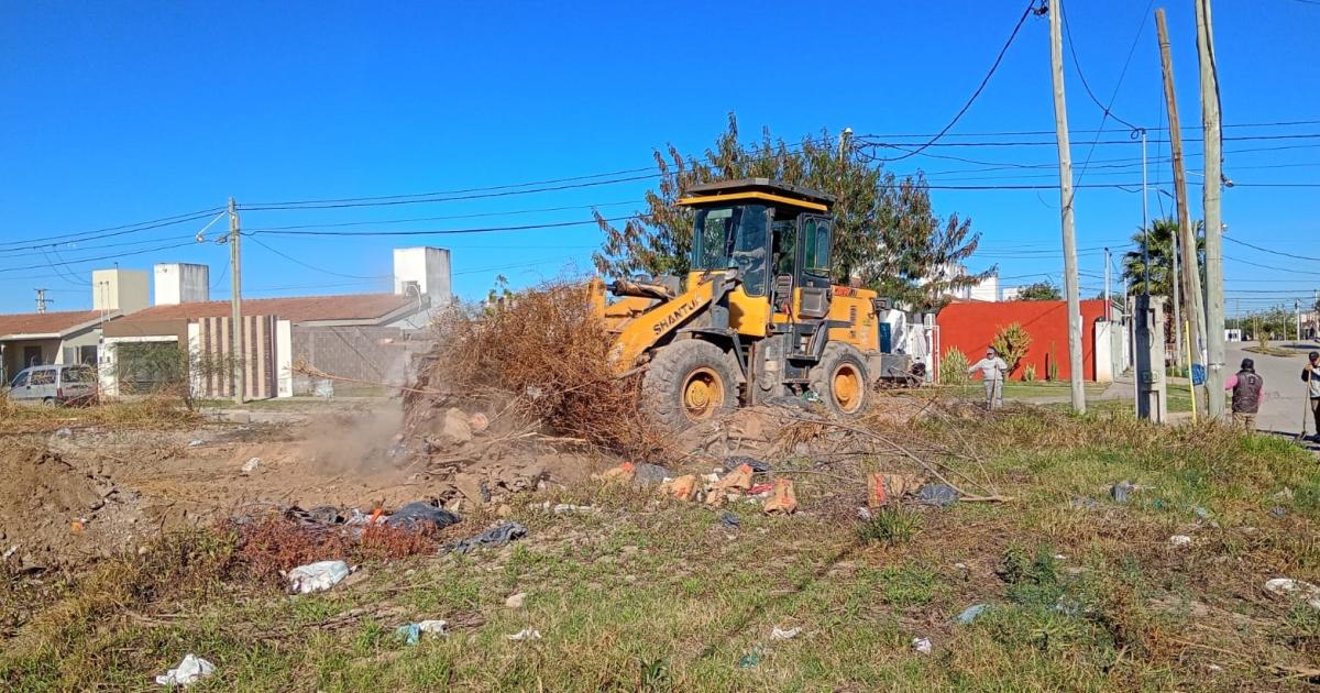 Refuerzan limpieza y erradicacioacuten de varios basurales