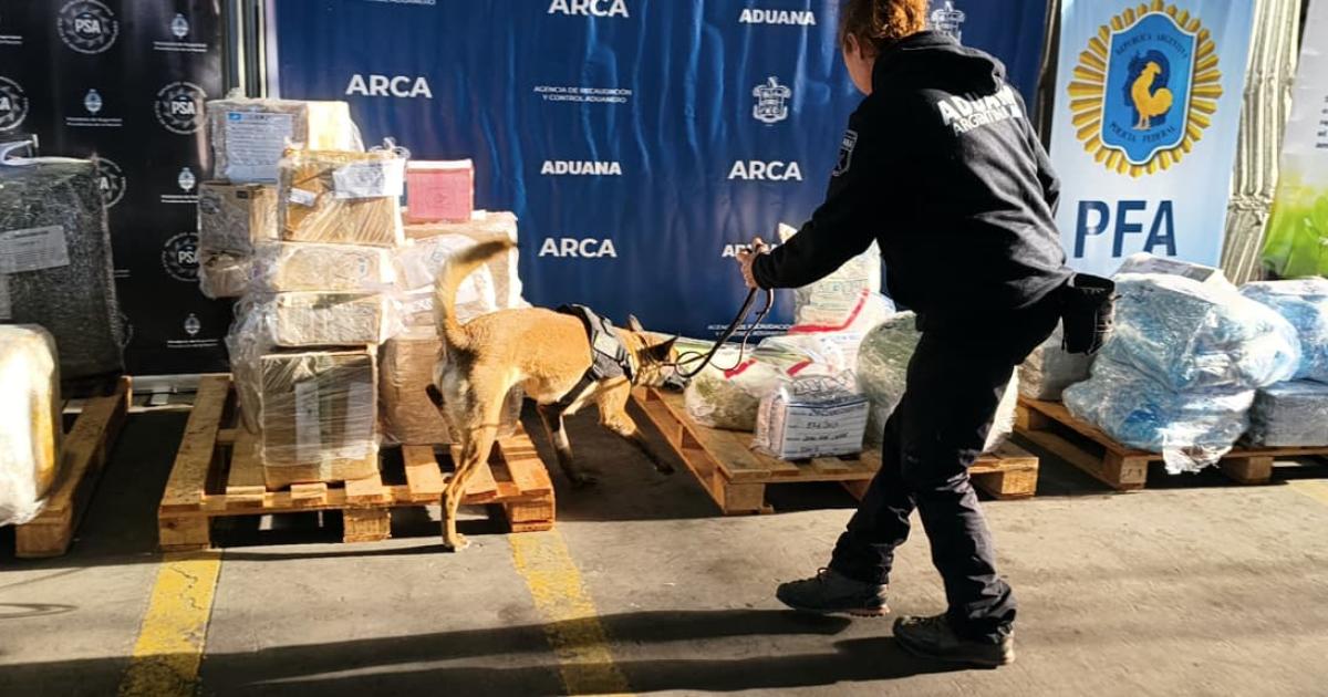 Quema de drogas- incineraron 635 kilos de estupefacientes secuestrados en 32 causas