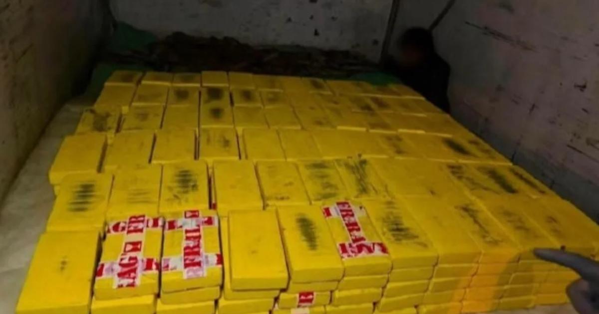 Un camioacuten frigoriacutefico llevaba 378 kilos de cocaiacutena hacia la frontera con Argentina