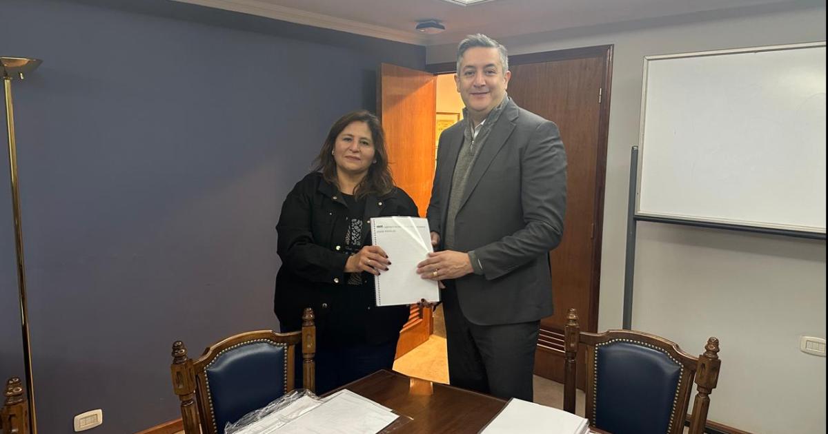 Trabajo conjunto entre el CEI Nordm50 y el BSE por la accesibilidad y la inclusioacuten