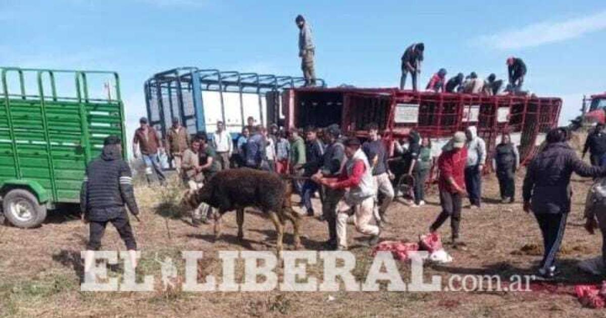 Los vecinos de la zona se acercaron al lugar del accidente