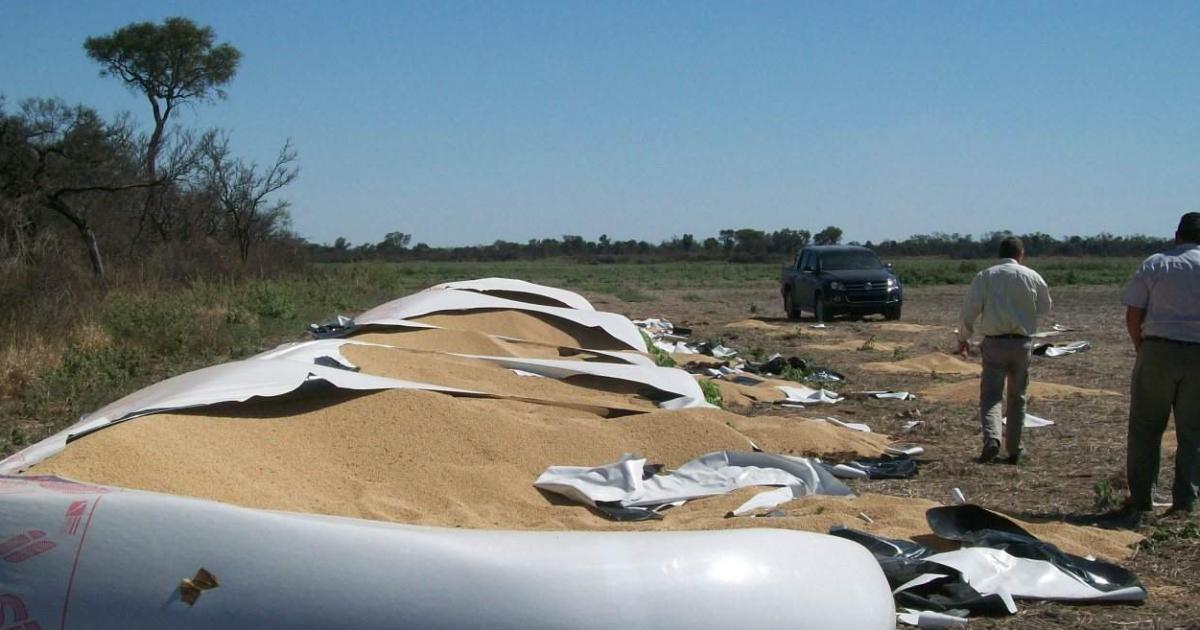 Prisioacuten preventiva para Pili Barcenilla y Centurioacuten por robar 3000000 en 6 toneladas de soja
