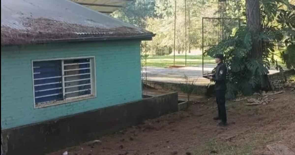Un adolescente de 13 antildeos murioacute electrocutado en el techo de una escuela