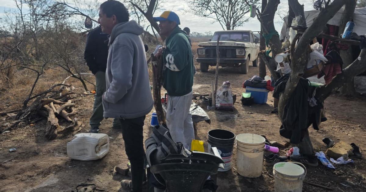 Detectan trabajo no registrado y casos de trabajo infantil durante una fiscalizacioacuten rural