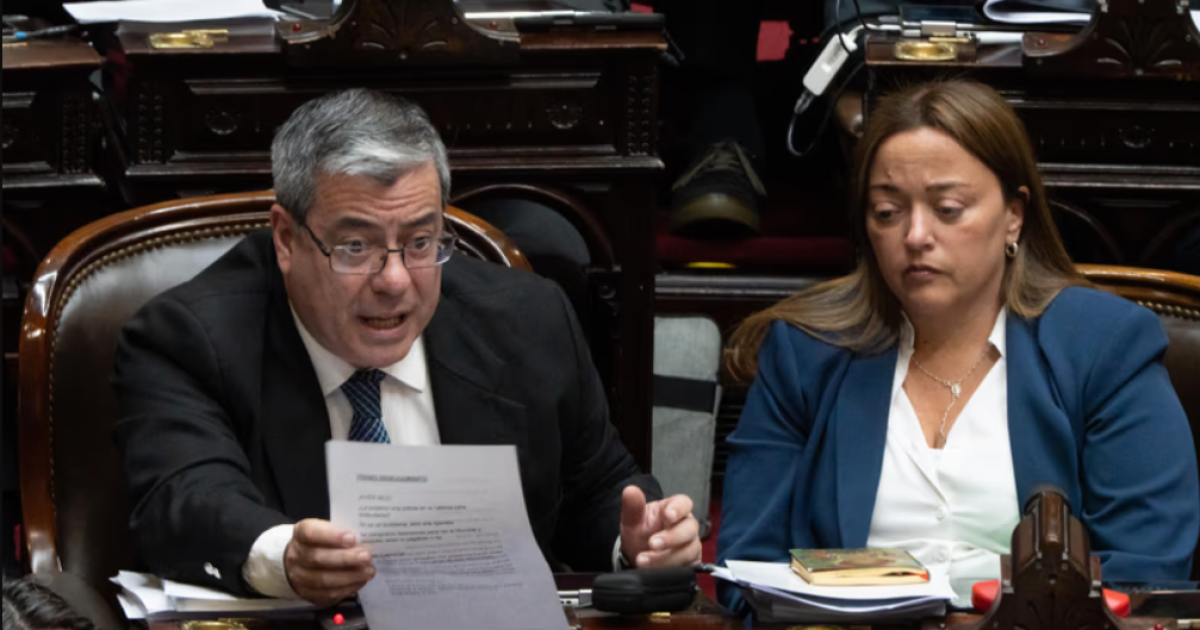 Diputados opositores reunieron 133 votos y buscan abrir el debate sobre el endeudamiento familiar