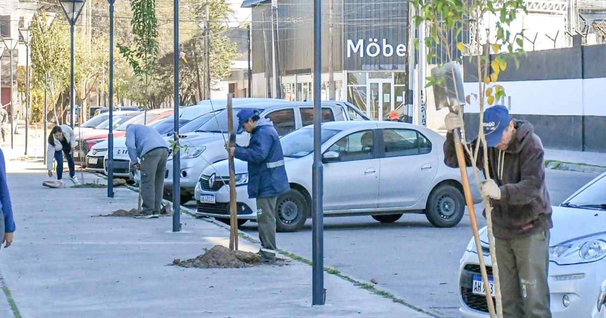 La Capital continuacutea la Campantildea de Arbolado Urbano con plantaciones en el barrio Congreso