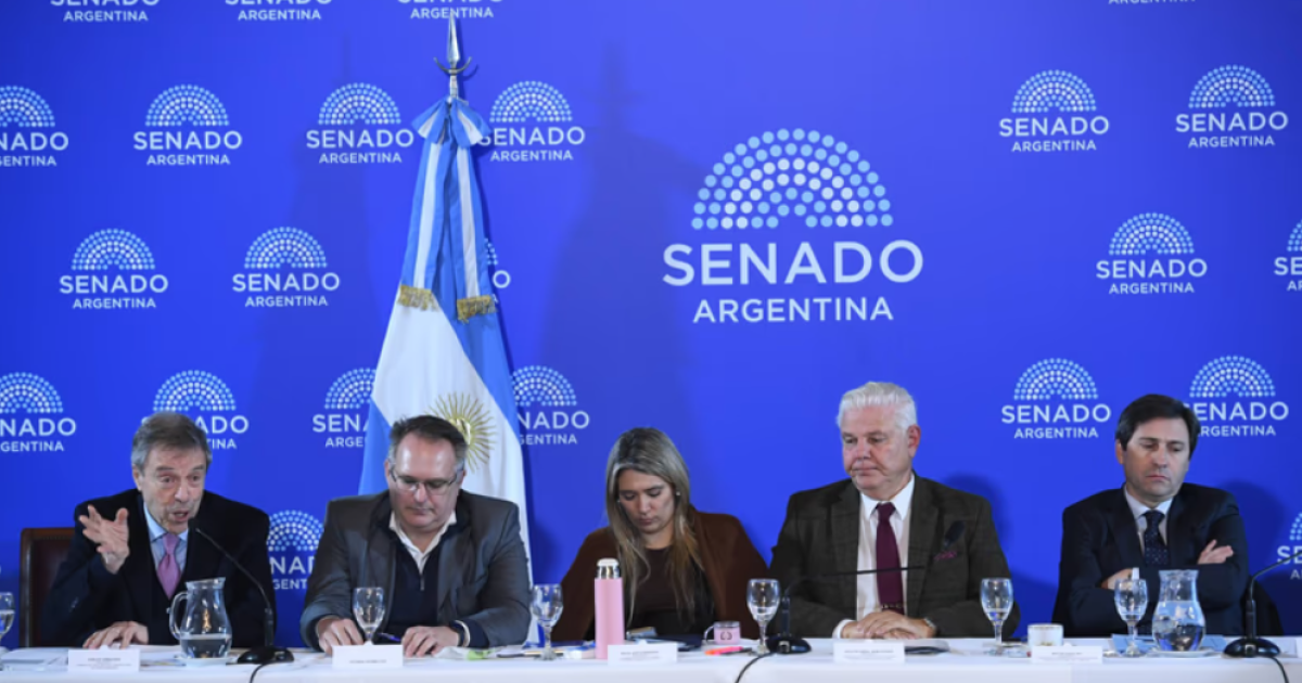 Super RIGI- el oficialismo aceptoacute cambios y el proyecto deberaacute volver a Diputados