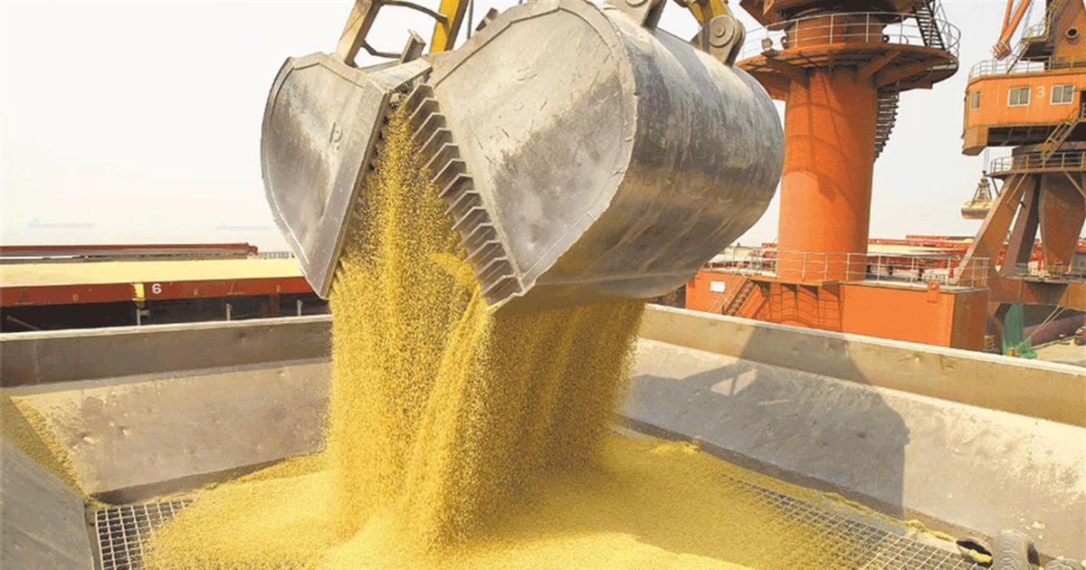 Soja y petroacuteleo fueron motores de las exportaciones