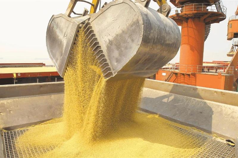 Soja y petroacuteleo fueron motores de las exportaciones