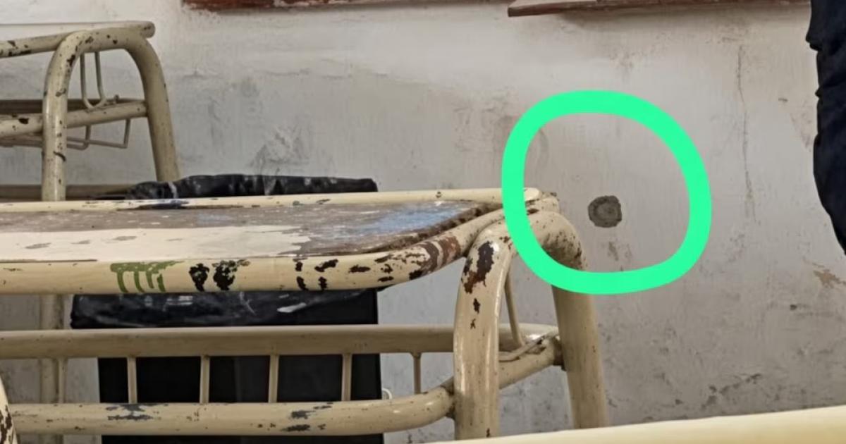Llevoacute un revoacutelver a la escuela lo disparoacute en el aula y se salvoacute de milagro- tiene 14 antildeos