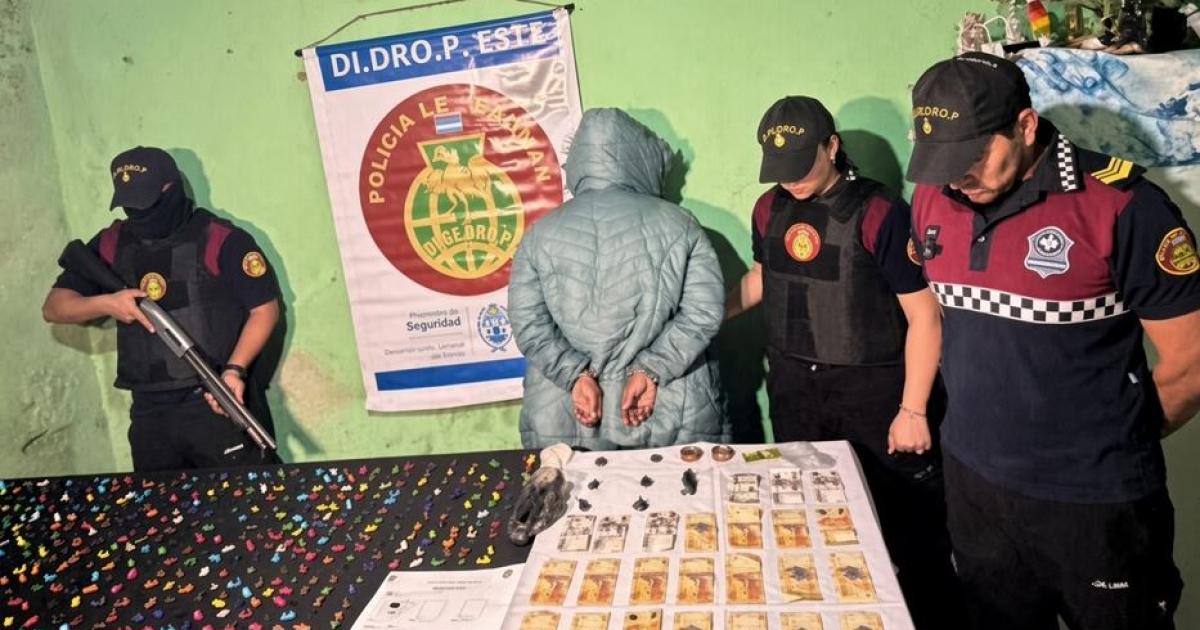 Allanaron una vivienda en Alderetes y detuvieron a una mujer con cientos de dosis de cocaiacutena