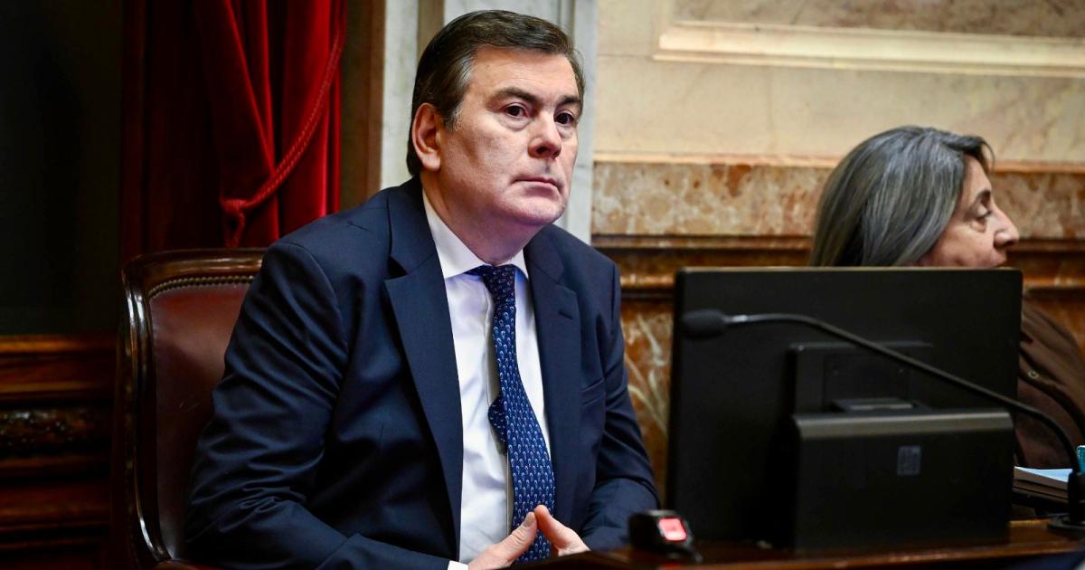 El Senado aproboacute la designacioacuten de la primera Defensora Puacuteblica de Viacutectima con asiento en Santiago