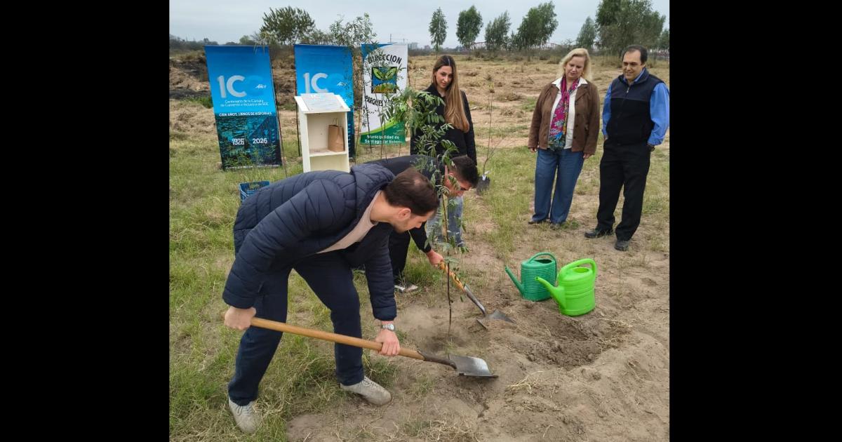 100 antildeos 100 aacuterboles- la Caacutemara de Comercio de Santiago plantoacute el Bosque del Centenario