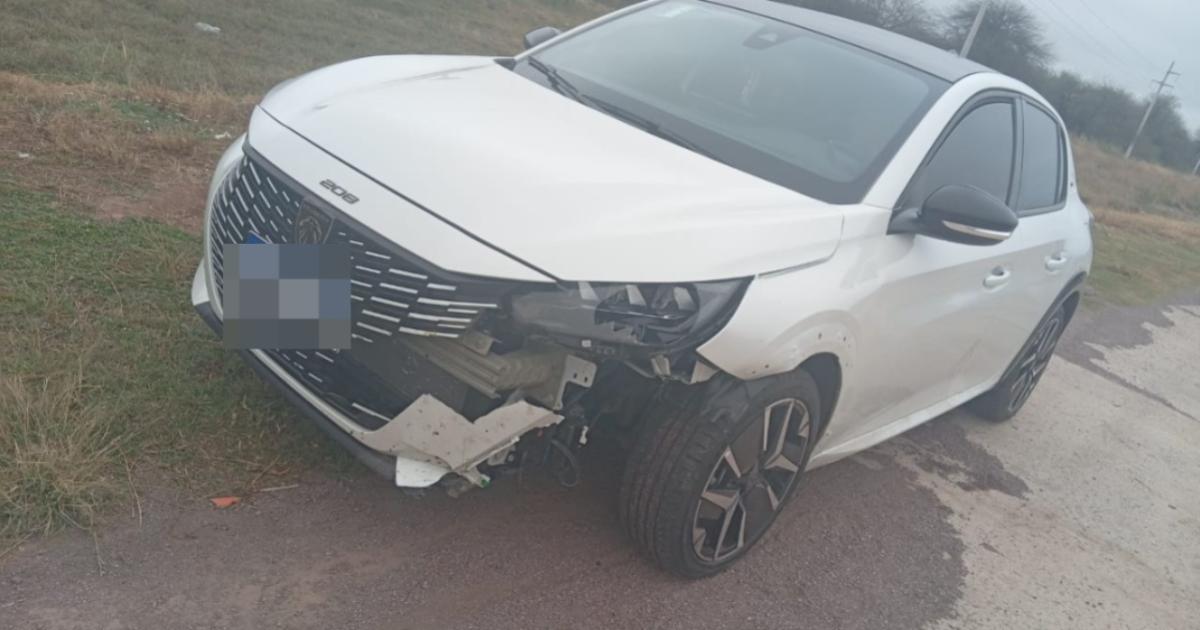 El Peugeot 208 sufrió daños en su parte delantera tras impactar contra el animal