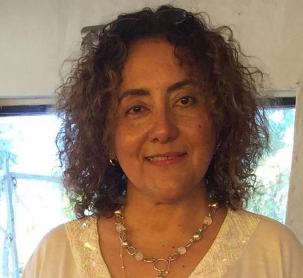 Defensora solicitó el allanamiento del Hospital Garrahan para restituir al niño santiagueño