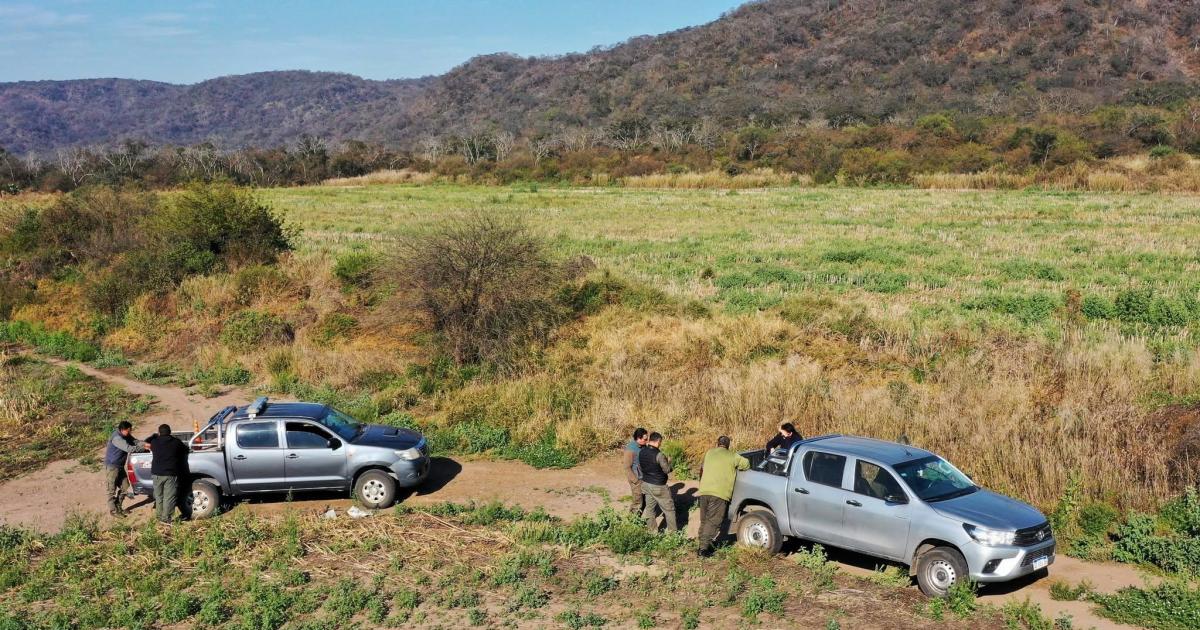 Bosques y Fauna realizoacute un importante operativo de control ambiental