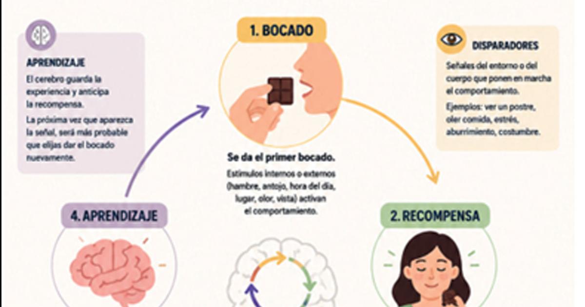 Cuando el cerebro pide postre- por queacute nos cuesta tanto parar