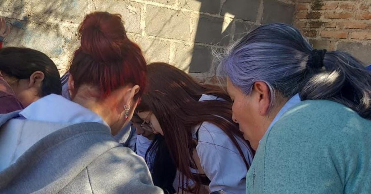El proyecto de huerta se destaca en el Colegio Secundario San Antonio