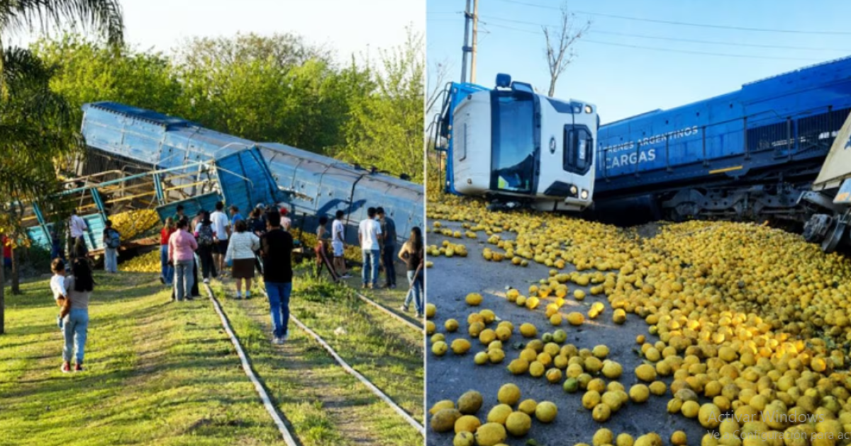Miles de limones quedaron en la calzada (Foto- gentileza FM 911 Simoca)
