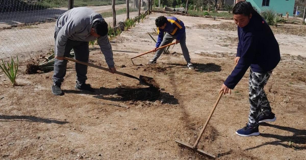 Colonia El Simbolar incorporoacute empleo para personas con discapacidad