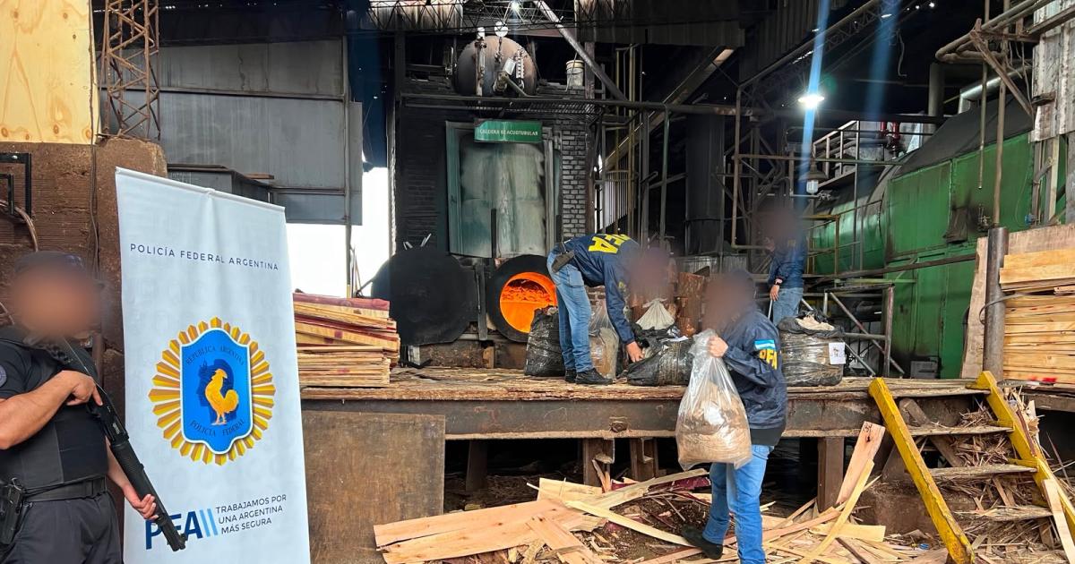 La Policiacutea Federal incineroacute maacutes de 940 kilos de marihuana secuestrados en operativos antidroga