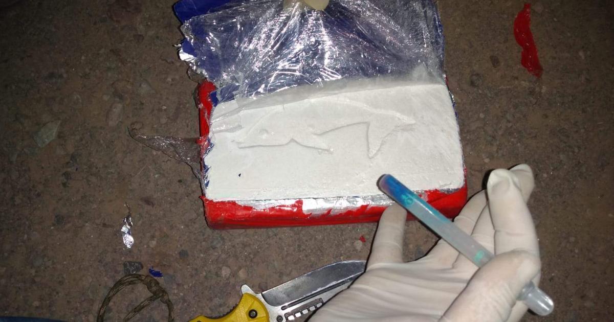 Lo atrapan con cuarto ladrillo de cocaiacutena de maacutexima pureza
