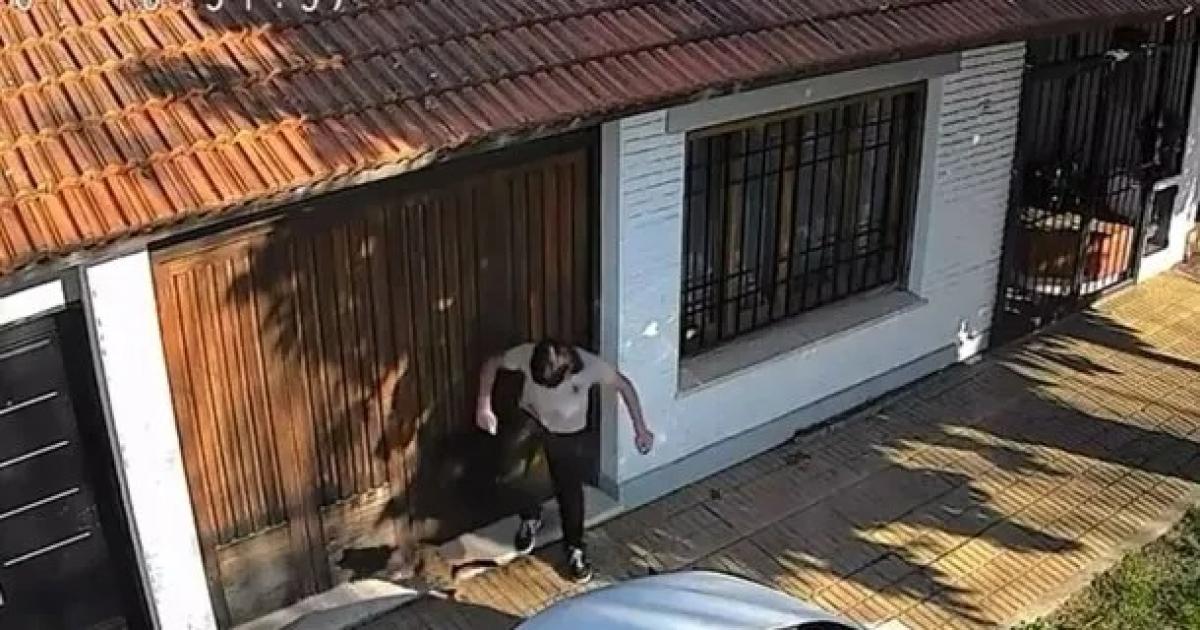 El momento donde el adolescente le pisa la cabeza a un gato (Foto captura del video)