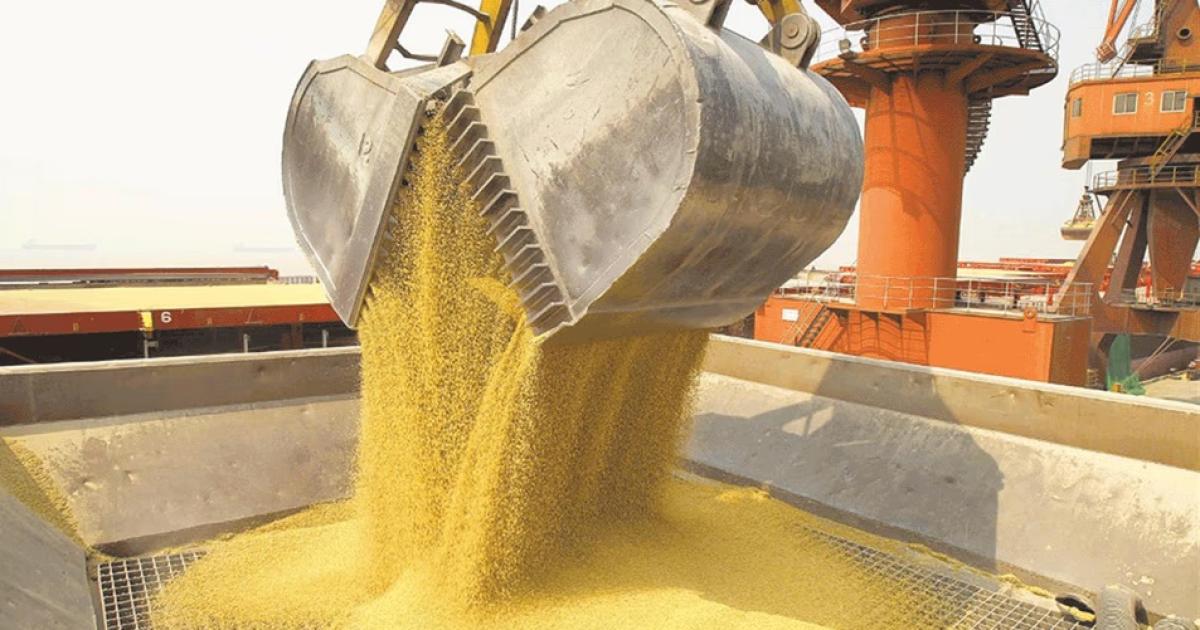 Soja y petroacuteleo fueron los motores de las exportaciones del primer semestre