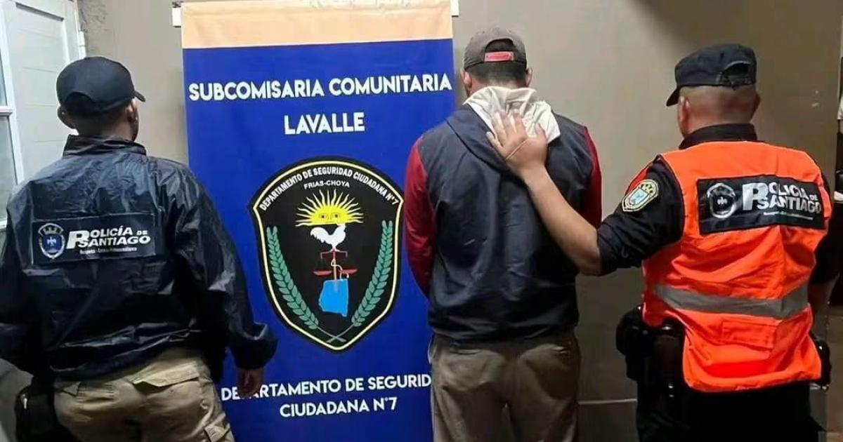 Allanaron una vivienda en Lavalle y detuvieron a un hombre acusado de robar 68 colmenas