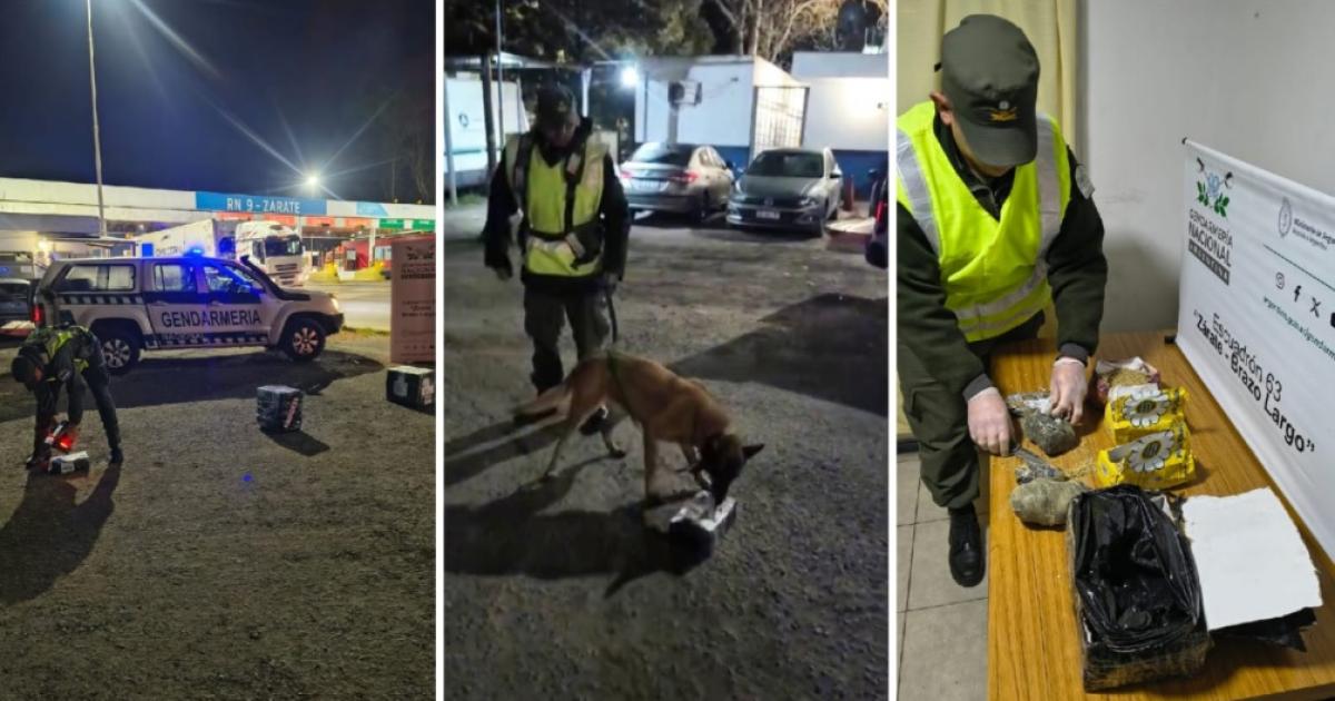 Ruta 9- Gendarmes encontraron paquetes de Yerba Mate rellenos con marihuana en un camioacuten