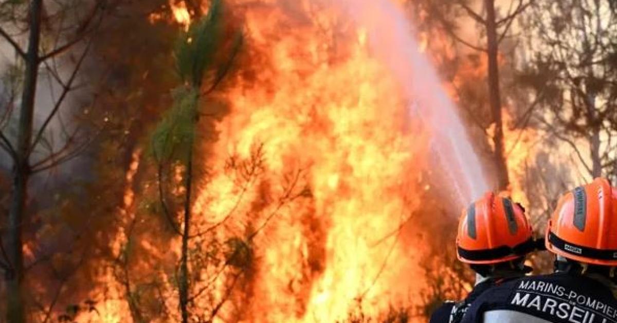 Incendios en Europa- ya se quemaron maacutes de 647000 hectaacutereas en lo que va de 2026