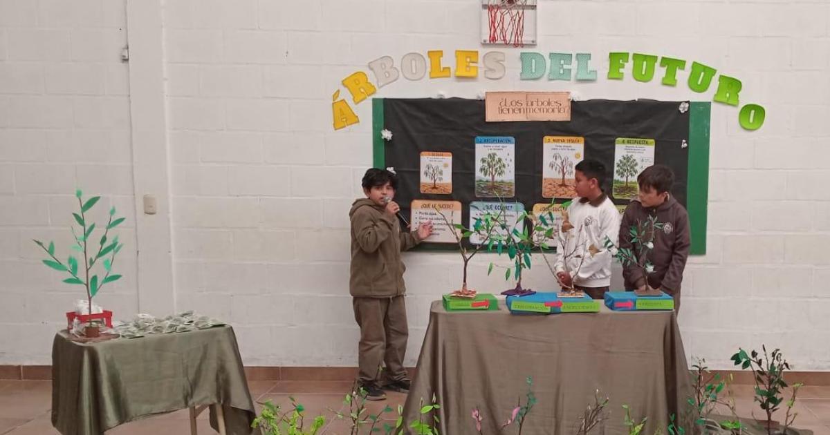 Aacuterboles del futuro- ciencia y conciencia ambiental en el Colegio David Mc Taggart